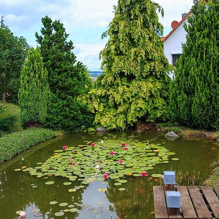 Hotel-Pension Am Rosarium زانغرهاوزن المظهر الخارجي الصورة