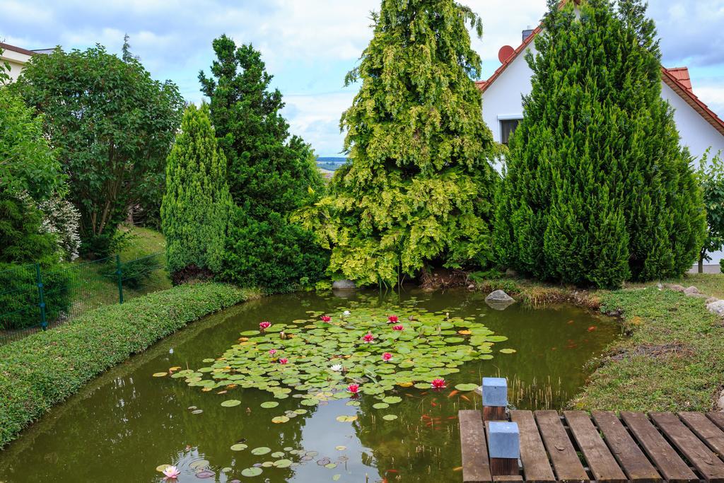 Hotel-Pension Am Rosarium زانغرهاوزن المظهر الخارجي الصورة